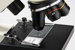 Transmitted light microscopes