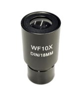 Okular WF (Widefield) 10 x / Ø 18mm mit Skala 0,1 mm