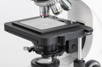 Microscopio metallografico [Kern OKO-1]