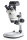 Microscopio stereo zoom con fotocamera C-Mount [Kern OZL-S]
