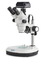 Microscopio stereo zoom con fotocamera C-Mount [Kern OZM-S]