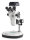 Microscopio estereoscópico de zoom con cámara C-Mount [Kern OZP-S]
