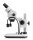 Stereo-Zoom Mikroskop [Kern OZL-47]