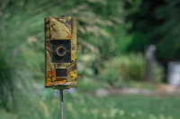 Wildlife camera - Scouting Cam Black700 [Braun 57663]