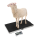Wireless parcel and veterinary scale [Kern EOS-A]