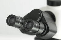 Digital compound microscope incl. Tablet [Kern OBN-15ST]