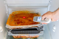 Termometro digitale a infrarossi e sonda per alimenti [Sauter JFT 100]