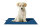 Thermolux mat4pet - Electric heating mat [AccuLux 464365]